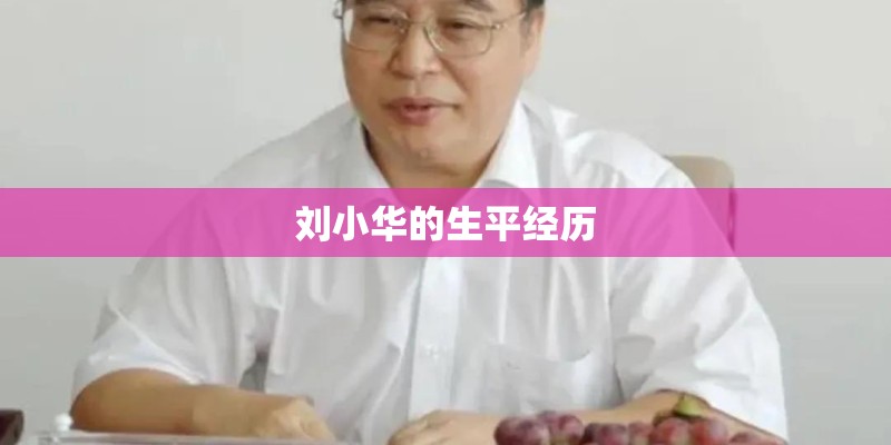 刘小华的生平经历 刘小华的生平经历