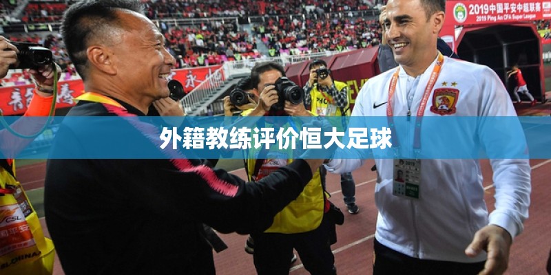 探歌是国产车吗