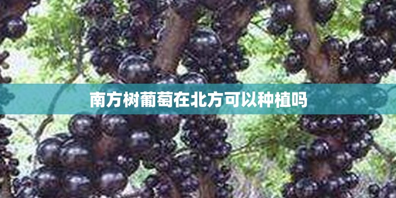 大众10万以内的车哪款好？