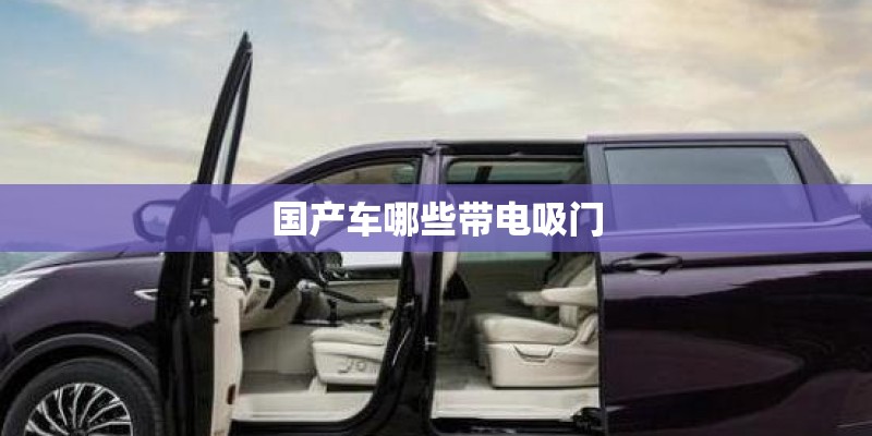 国产车哪些带电吸门 国产车哪些带电吸门