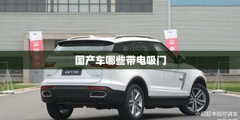 国产车哪些带电吸门 国产车哪些带电吸门