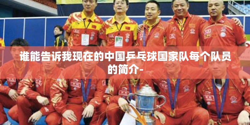 谁能告诉我现在的中国乒乓球国家队每个队员的简介- 谁能告诉我现在的中国乒乓球国家队每个队员的简介-