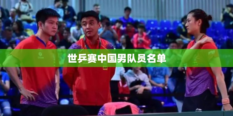 世乒赛中国男队员名单 世乒赛中国男队员名单