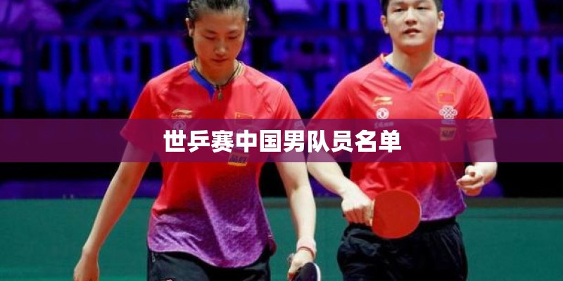世乒赛中国男队员名单 世乒赛中国男队员名单