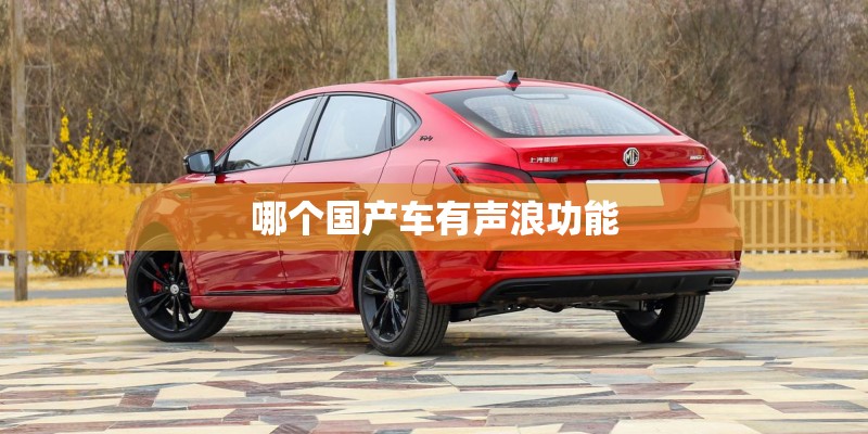 哪个国产车有声浪功能