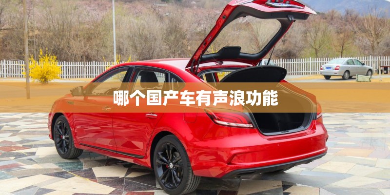 哪个国产车有声浪功能