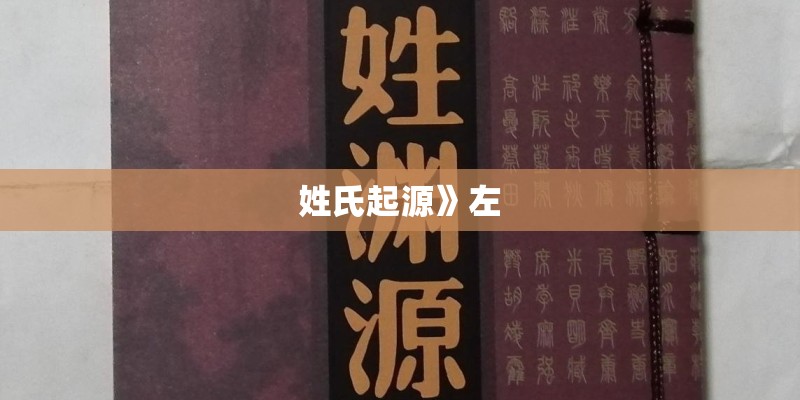 姓氏起源》左 姓氏起源》左