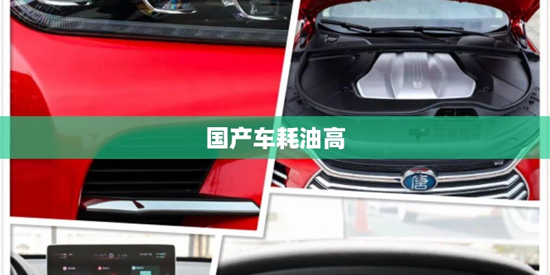 国产车耗油高 国产车耗油高