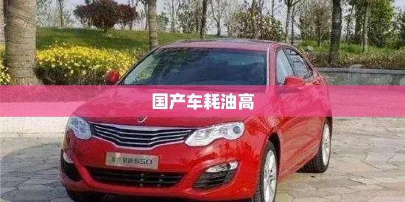 国产车耗油高 国产车耗油高