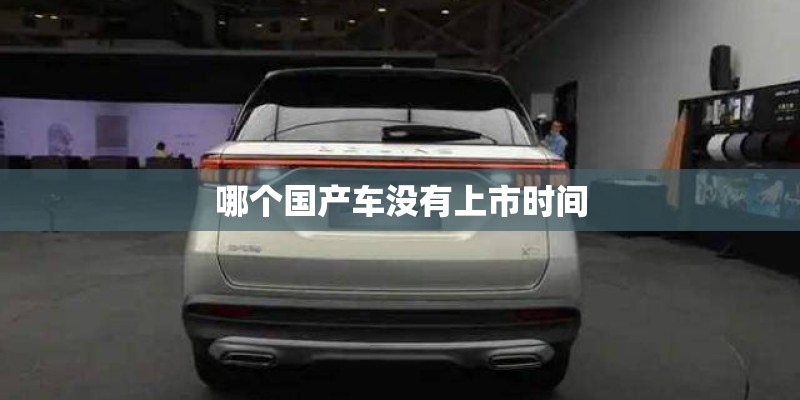 哪个国产车没有上市时间