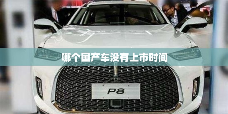 哪个国产车没有上市时间