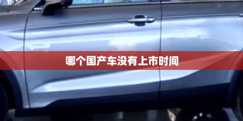 哪个国产车没有上市时间