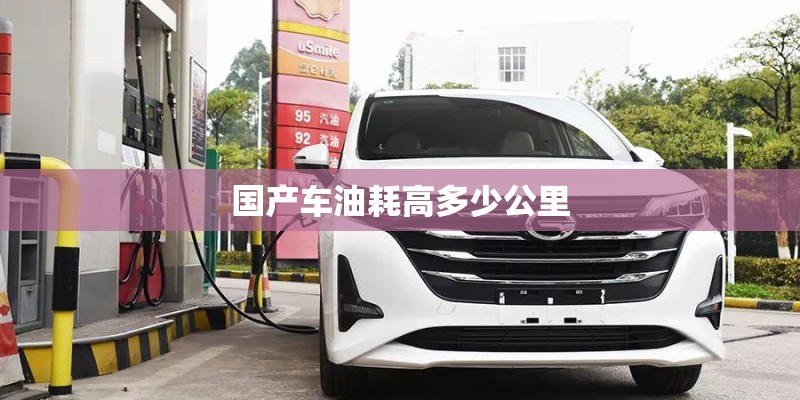 国产车油耗高多少公里 国产车油耗高多少公里