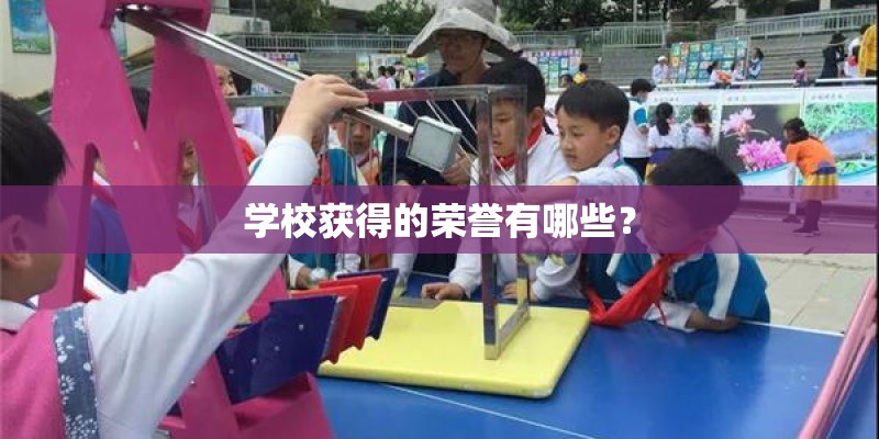 学校获得的荣誉有哪些? 学校获得的荣誉有哪些?