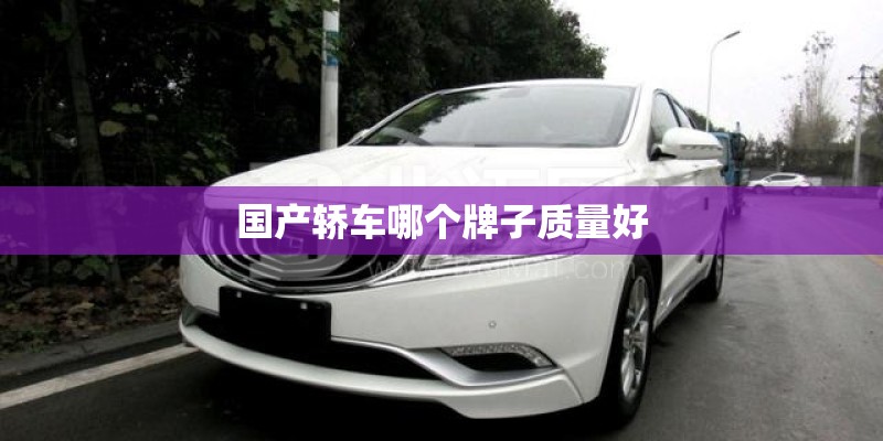 国产轿车哪个牌子质量好 国产轿车哪个牌子质量好