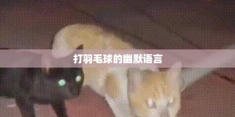 打羽毛球的幽默语言 打羽毛球的幽默语言
