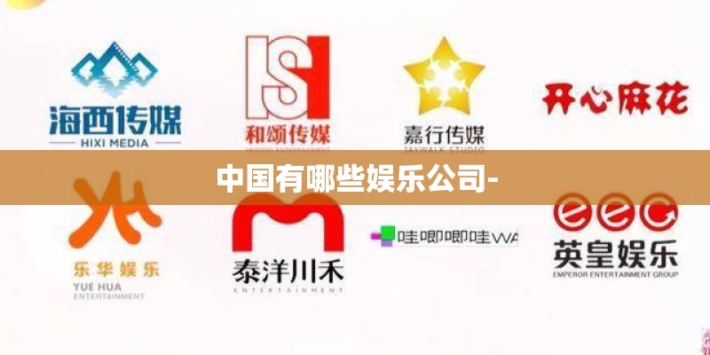 中国有哪些娱乐公司-