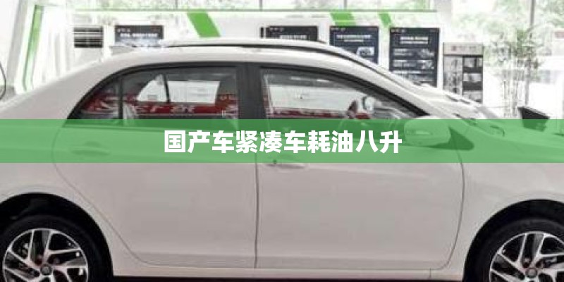 国产车紧凑车耗油八升 国产车紧凑车耗油八升