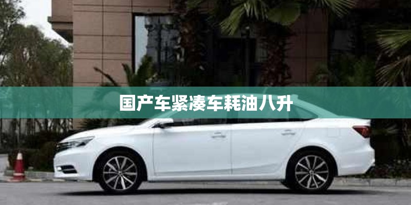 国产车紧凑车耗油八升 国产车紧凑车耗油八升