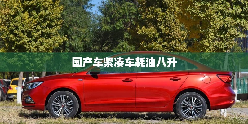 国产车紧凑车耗油八升 国产车紧凑车耗油八升