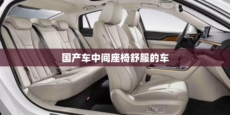 国产车中间座椅舒服的车