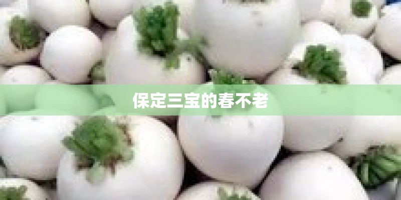 保定三宝的春不老