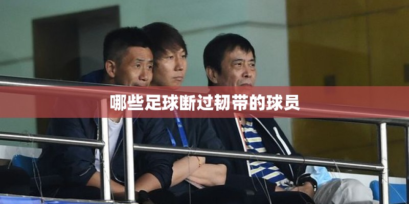 哪些足球断过韧带的球员