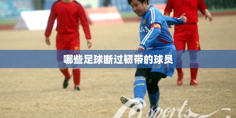 哪些足球断过韧带的球员
