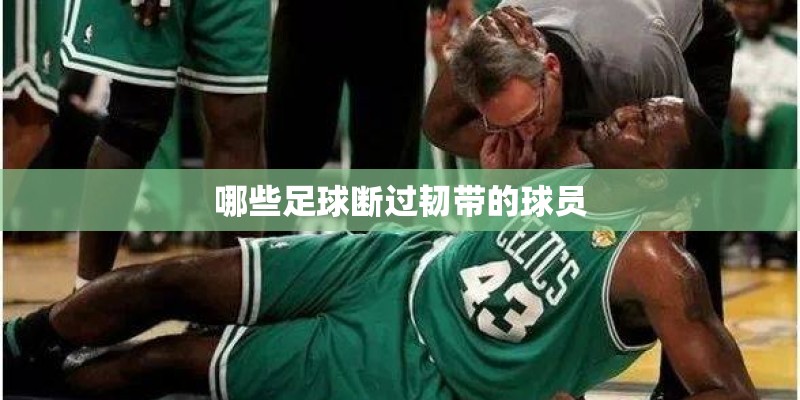 哪些足球断过韧带的球员