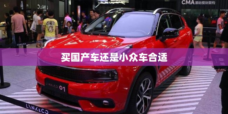 买国产车还是小众车合适 买国产车还是小众车合适