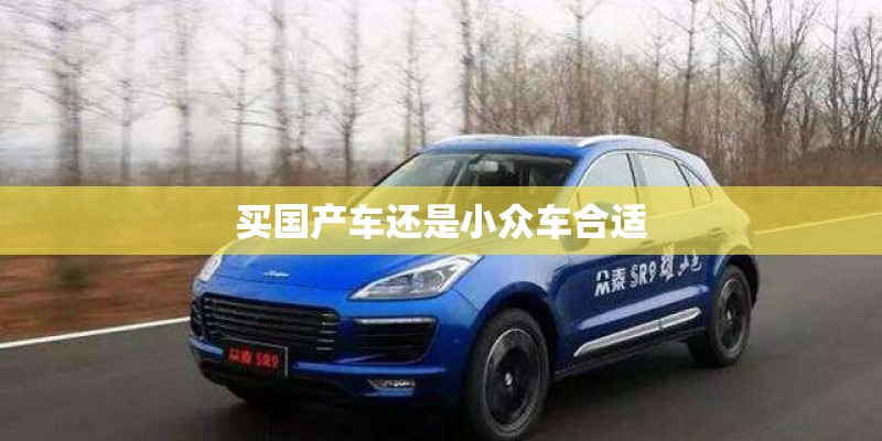 买国产车还是小众车合适 买国产车还是小众车合适