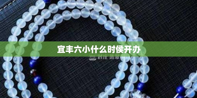 宜丰六小什么时侯开办