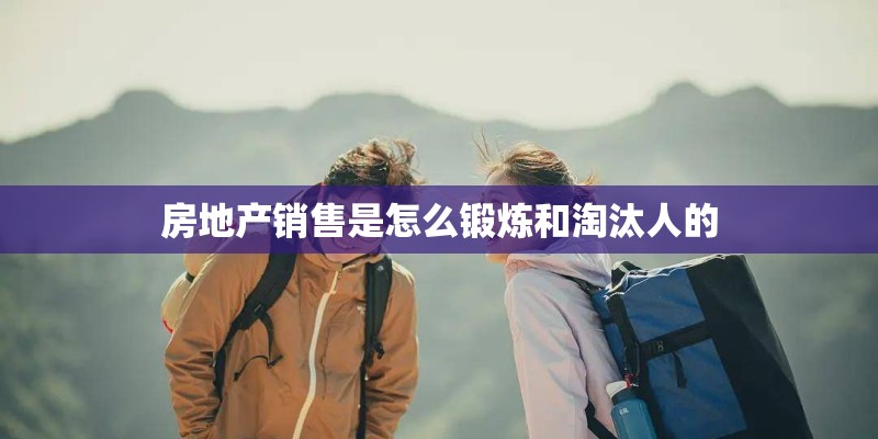 房地产销售是怎么锻炼和淘汰人的