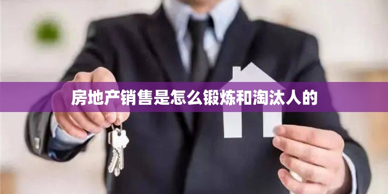 房地产销售是怎么锻炼和淘汰人的