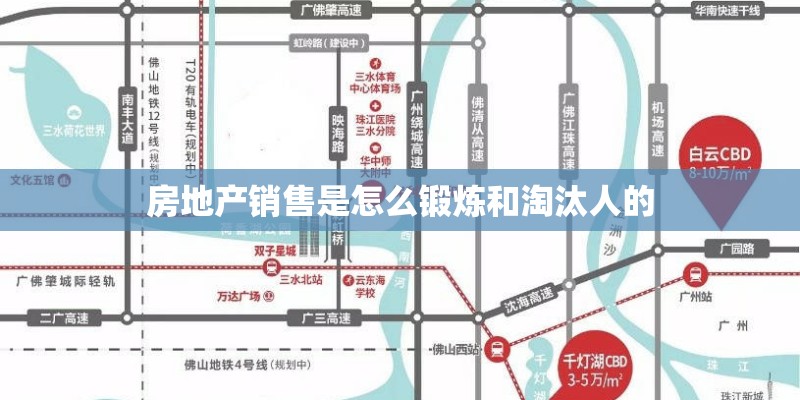 房地产销售是怎么锻炼和淘汰人的
