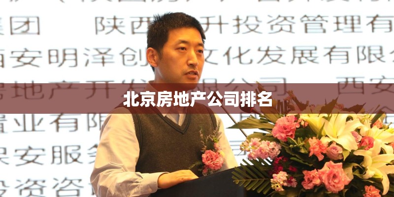 北京房地产公司排名 北京房地产公司排名