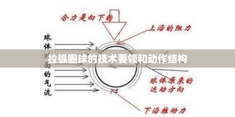 拉弧圈球的技术要领和动作结构
