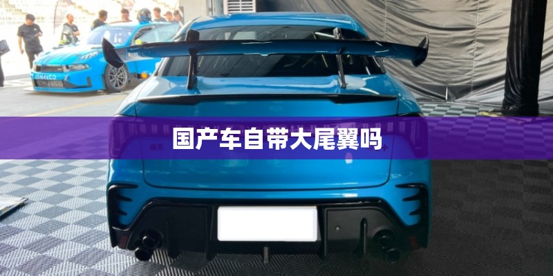 国产车自带大尾翼吗 国产车自带大尾翼吗