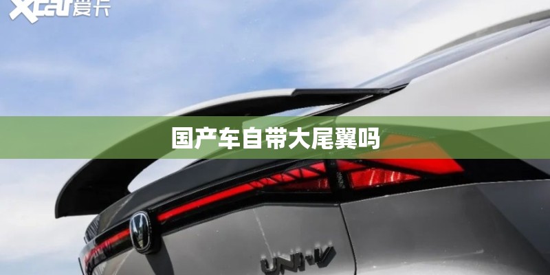 国产车自带大尾翼吗 国产车自带大尾翼吗