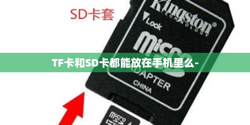 TF卡和SD卡都能放在手机里么- TF卡和SD卡都能放在手机里么-