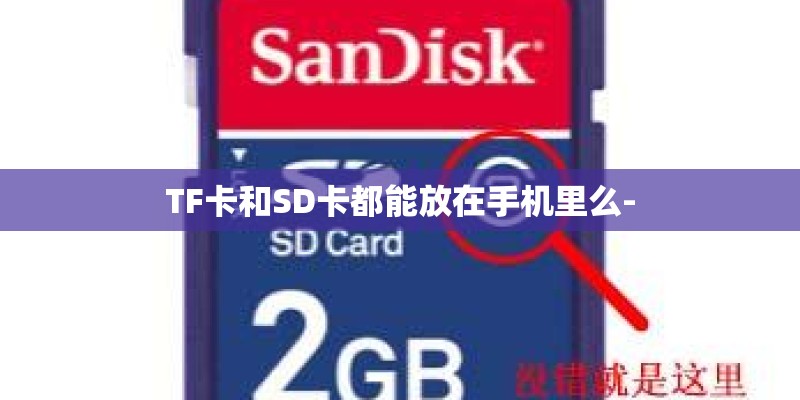 TF卡和SD卡都能放在手机里么- TF卡和SD卡都能放在手机里么-