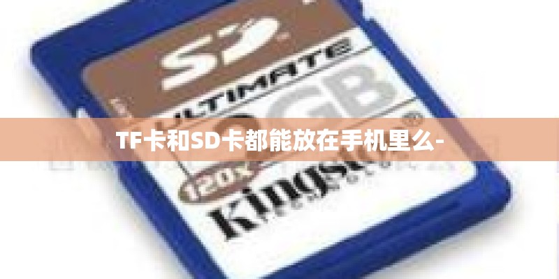 TF卡和SD卡都能放在手机里么- TF卡和SD卡都能放在手机里么-