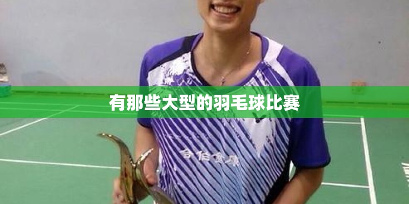有那些大型的羽毛球比赛 有那些大型的羽毛球比赛