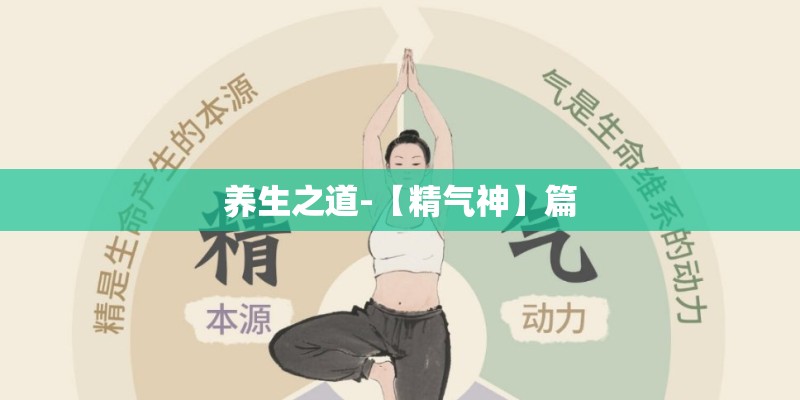 养生之道-【精气神】篇 养生之道-【精气神】篇