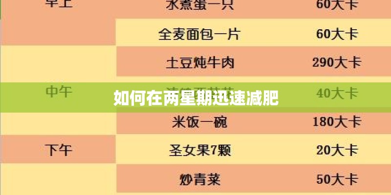如何在两星期迅速减肥