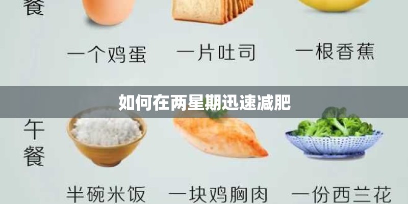 如何在两星期迅速减肥
