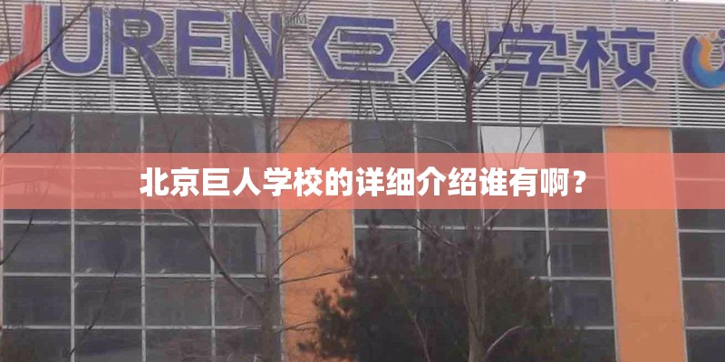 有那些大型的羽毛球比赛