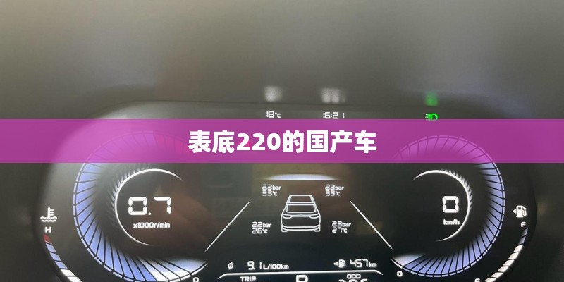 表底220的国产车 表底220的国产车
