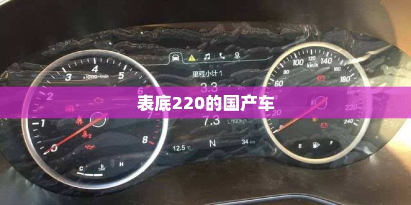 表底220的国产车 表底220的国产车