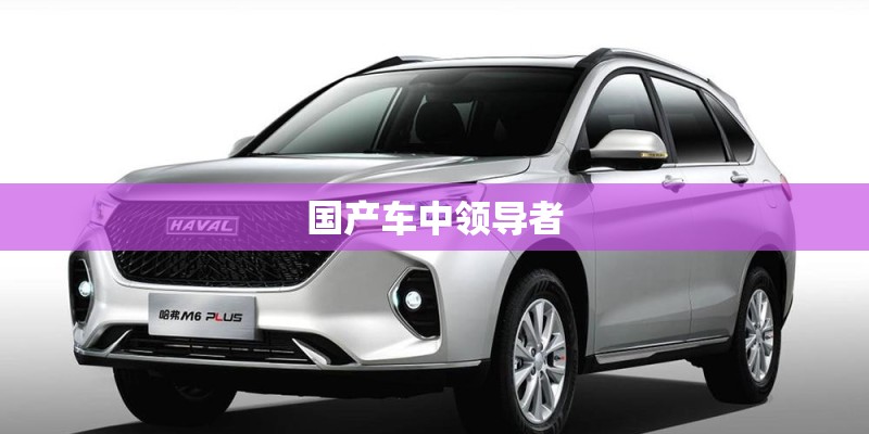 国产车中领导者